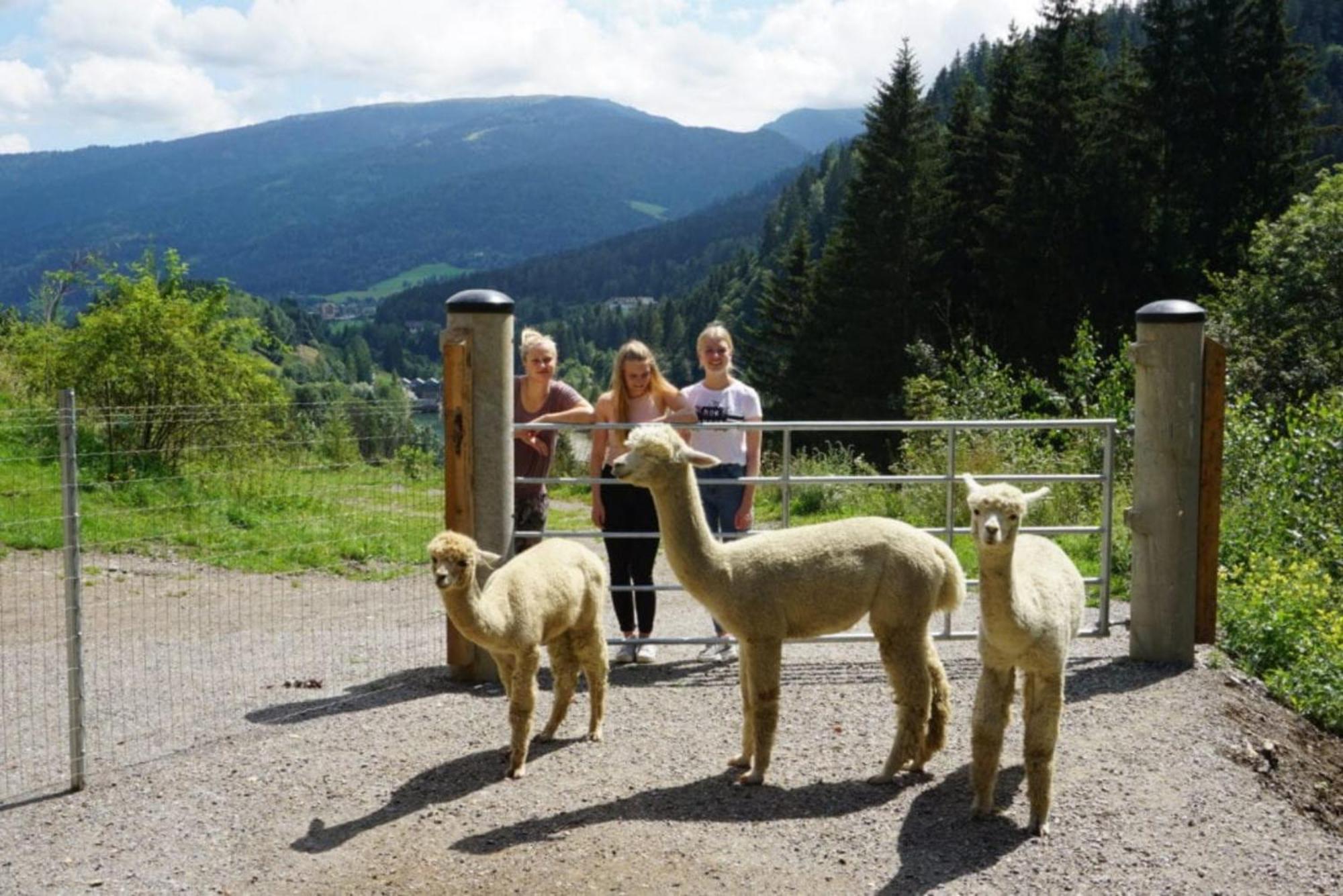 Vitalhof Am Kreischberg By Alps Resorts Bodendorf  Kültér fotó